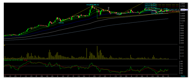 Adani-Enterprises-Limited-graph