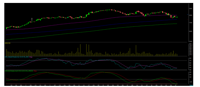 Tata-Consumer -Products-graph