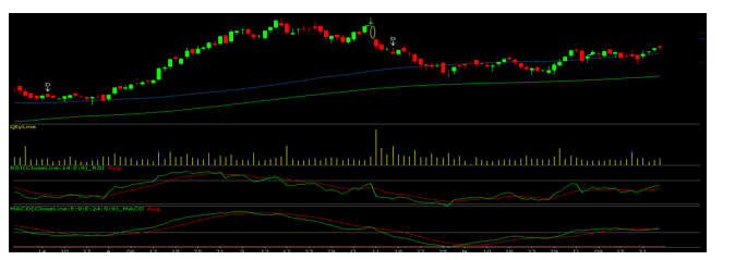 tcs-techn-funda-graph