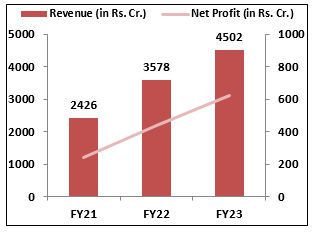 Tata-IPO-Financial-Performance