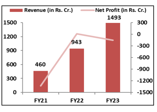 Honasa-Consumer-IPO- Financial- Performance-elite-wealth