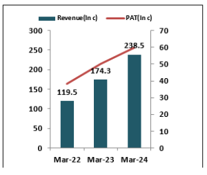 Denta-Water-and -Infra-Solutions -Limited-IPO -Financial -Performance