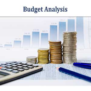 Budget-Analysis