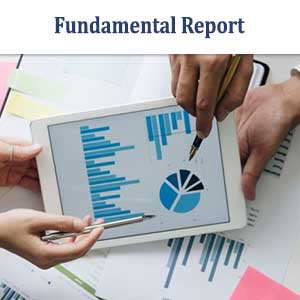 Fundamental-Report